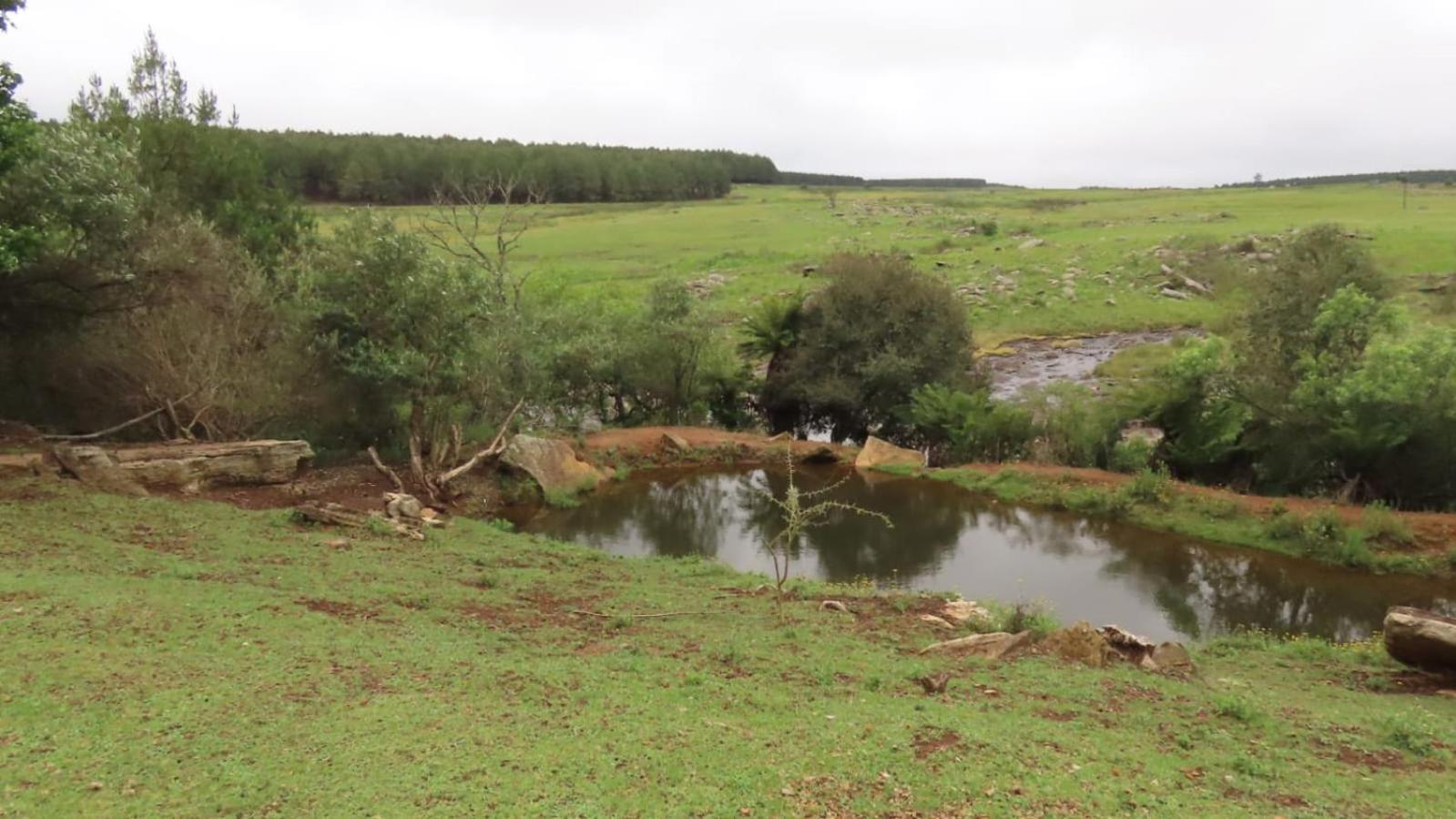 Lisbon Eco Lodge Graskop Εξωτερικό φωτογραφία